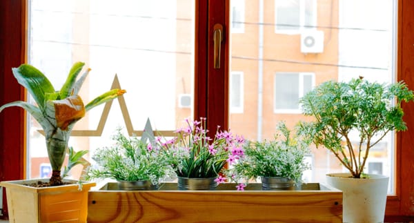 Garden Windows | Raleigh, NC