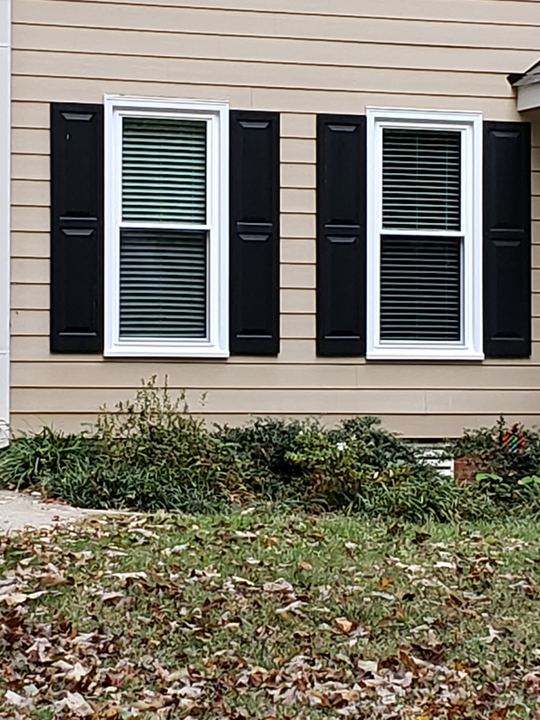 Replacement Windows Client Spotlight | Cary, North Carolina