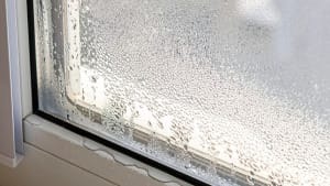 8 Common Reasons Why Windows Leak and What to Do About It